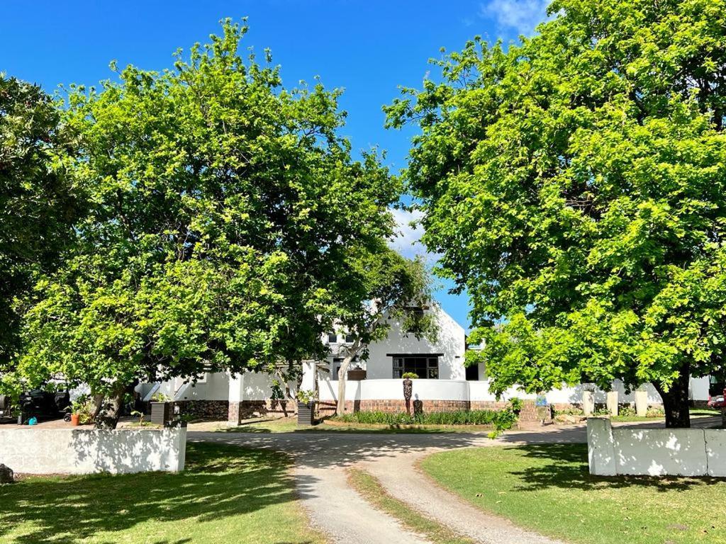 פלטנברג ביי Bitou River Lodge מראה חיצוני תמונה