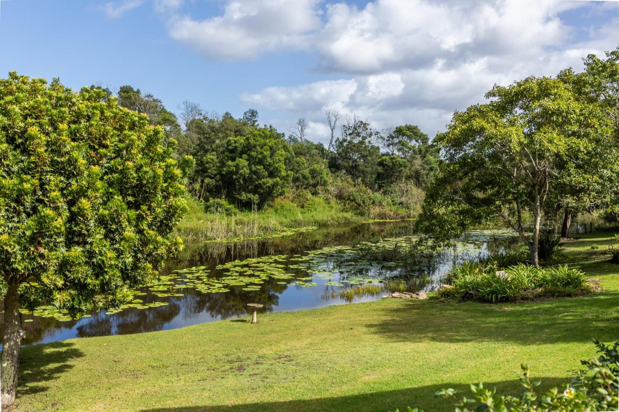 פלטנברג ביי Bitou River Lodge מראה חיצוני תמונה